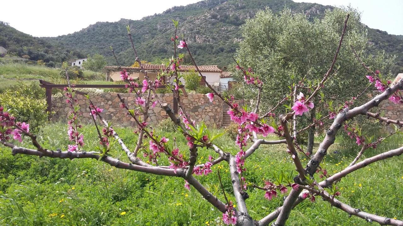 La Casetta Rosa Tertenìa Extérieur photo